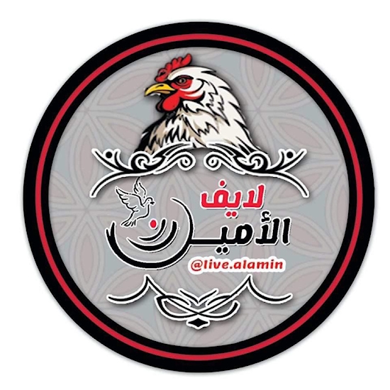 Picture of لايف الامين 